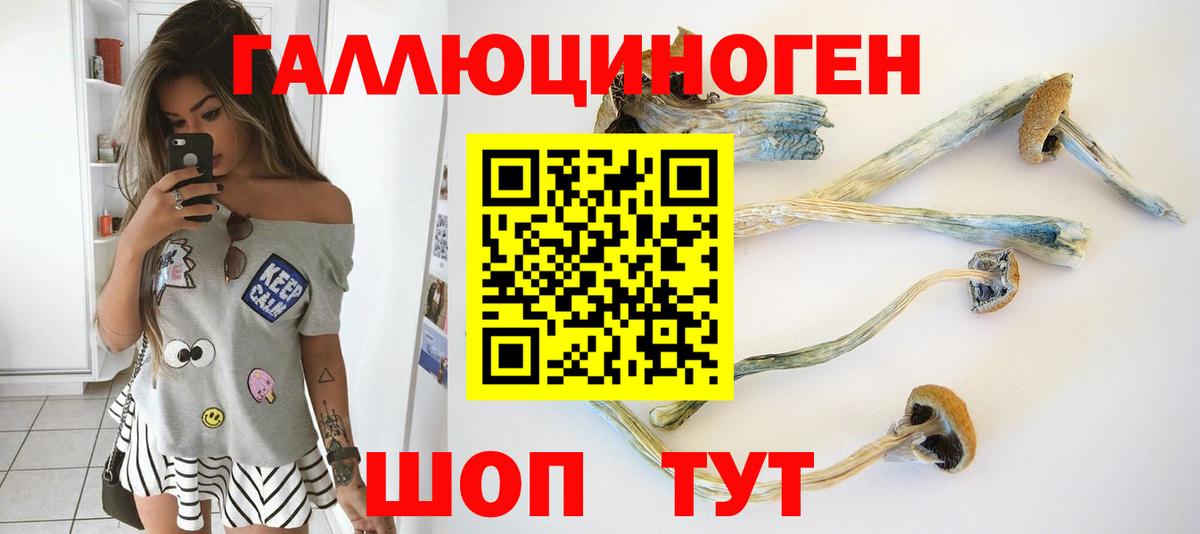 Псилоцибиновые грибы Magic Shrooms  Псилоцибиновые грибы Magic Shrooms  Губкин 